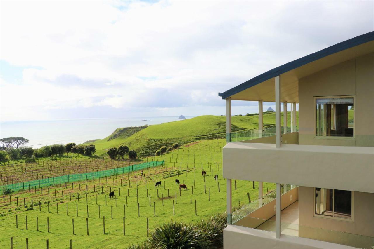 Chalets At Okurukuru 뉴플리머스 외부 사진
